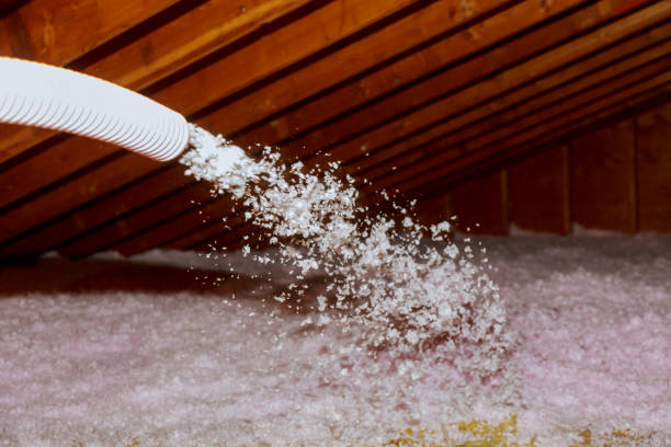 Best Attic Insulation Installation  in Orchard Mesa, CO